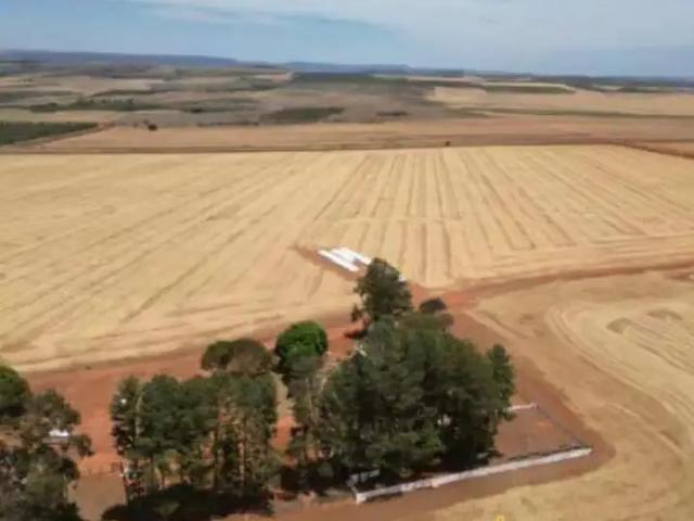 Sítio e chácara venda em Região Geográfica Imediata de Flores de Goiás, São João d'Aliança