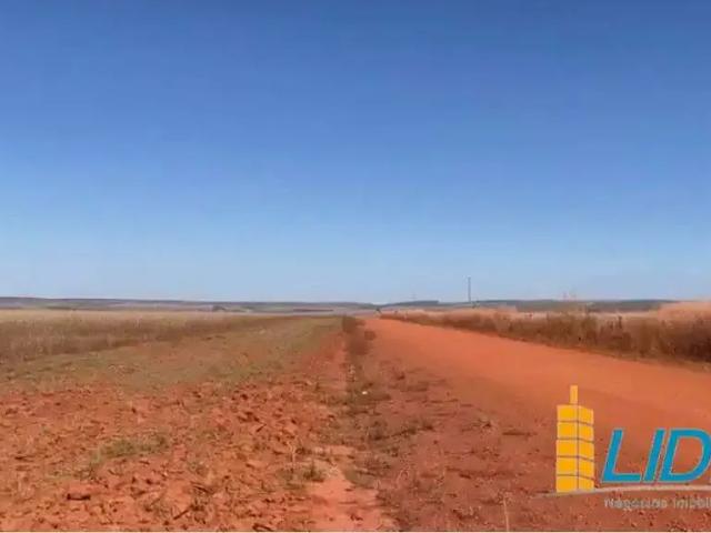 Sítio e chácara venda em Região Geográfica Imediata de Flores de Goiás, São João d'Aliança