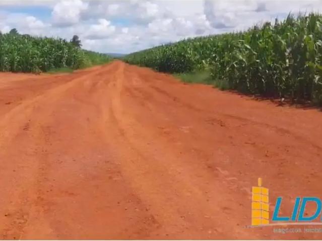 Sítio e chácara venda em Região Geográfica Imediata de Flores de Goiás, São João d'Aliança