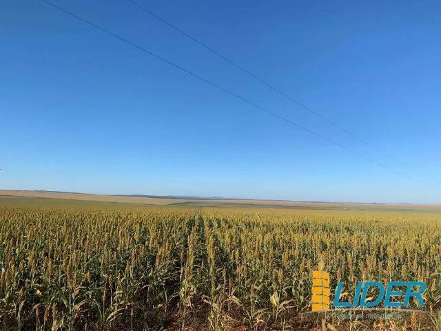 Sítio e chácara venda em Região Geográfica Imediata de Flores de Goiás, São João d'Aliança