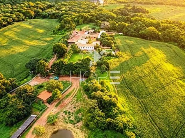 Sítio e chácara venda em Cidade Verde, São João del-Rei