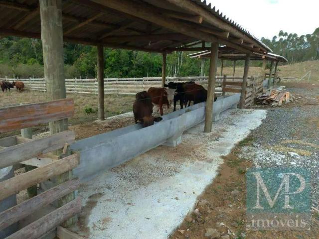 Sítio e chácara venda em Região Geográfica Imediata de Joinville, São João do Itaperiu