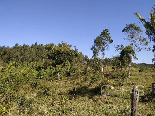 Sítio e chácara venda em Região Geográfica Imediata de Joinville, São João do Itaperiu