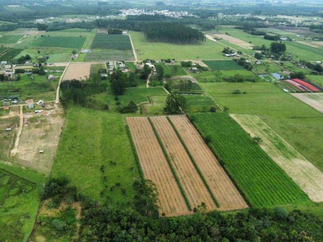 Sítio e chácara venda em Região Geográfica Imediata de Araranguá, São João do Sul