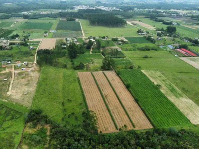 Sítio e chácara venda em Região Geográfica Imediata de Araranguá, São João do Sul