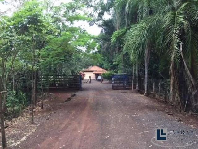 Sítio e chácara venda em São Joaquim da Barra