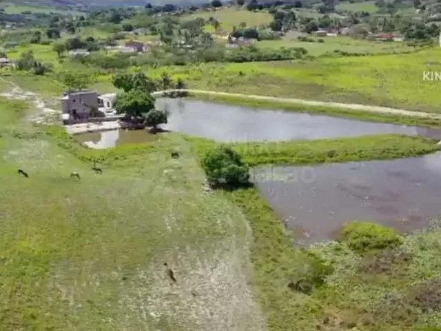 Sítio e chácara venda em Região Geográfica Imediata de Caruaru, São Joaquim do Monte