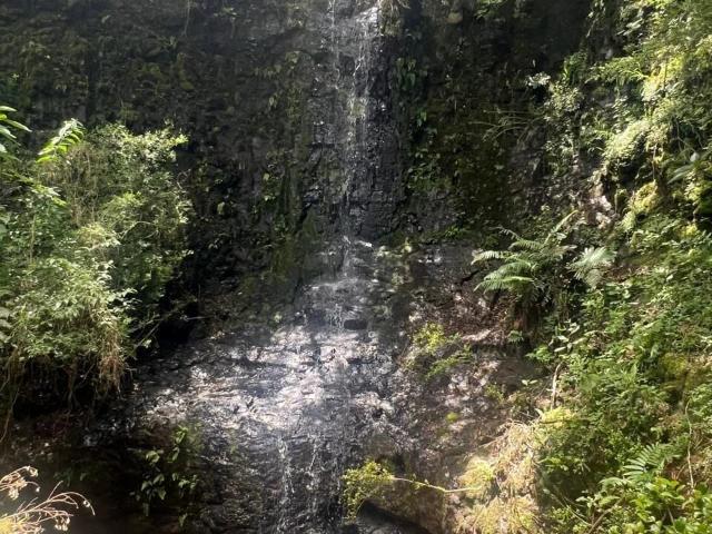 Sítio e chácara venda em São Joaquim, Região Geográfica Intermediária de Lages