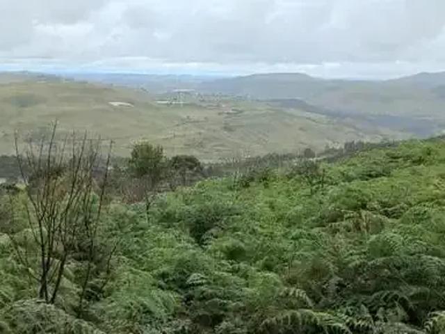 Sítio e chácara venda em Região Geográfica Imediata de Lages, São Joaquim