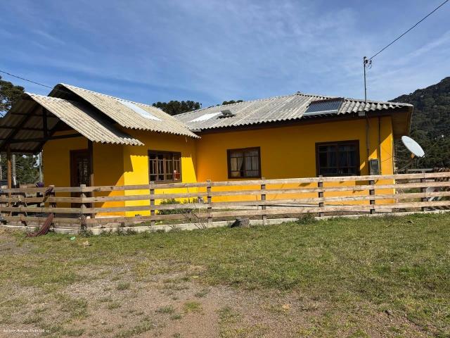 Sítio e chácara venda em São Joaquim, Região Geográfica Intermediária de Lages