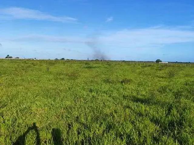 Sítio e chácara venda em Região Geográfica Imediata de Natal, São José de Mipibu
