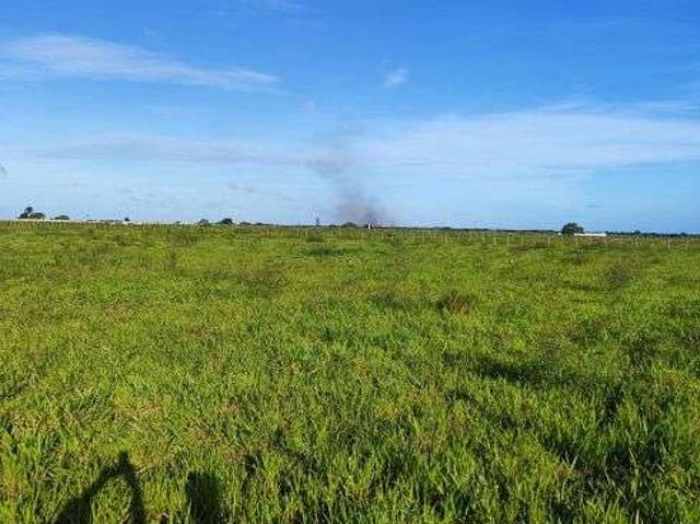 Sítio e chácara venda em São José de Mipibu