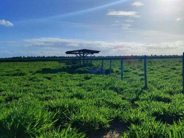 Sítio e chácara venda em São José de Mipibu