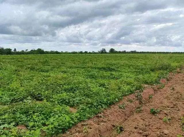 Sítio e chácara venda em Região Geográfica Imediata de Natal, São José de Mipibu