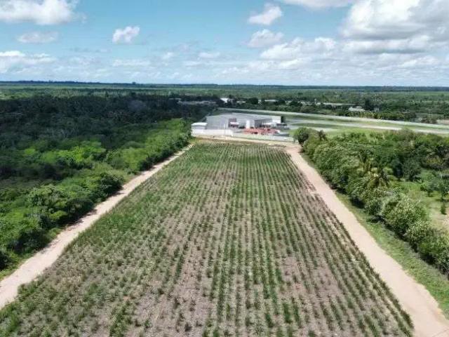 Sítio e chácara venda em Região Geográfica Imediata de Natal, São José de Mipibu