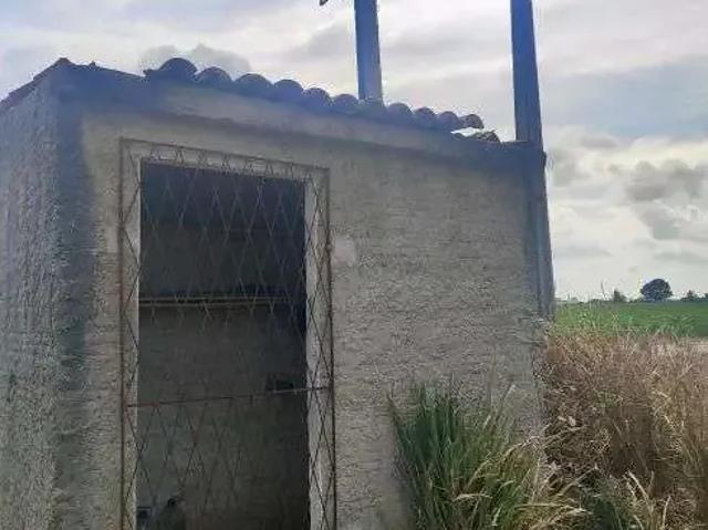 Sítio e chácara venda em Região Geográfica Imediata de Natal, São José de Mipibu