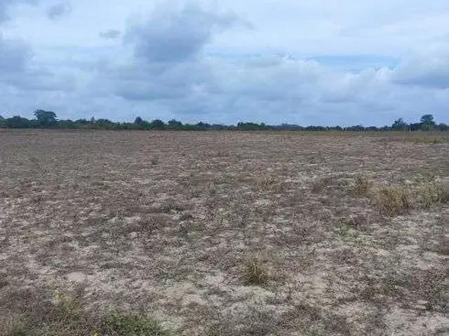 Sítio e chácara venda em Região Geográfica Imediata de Natal, São José de Mipibu