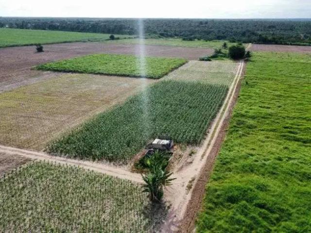 Sítio e chácara venda em Região Geográfica Imediata de Natal, São José de Mipibu
