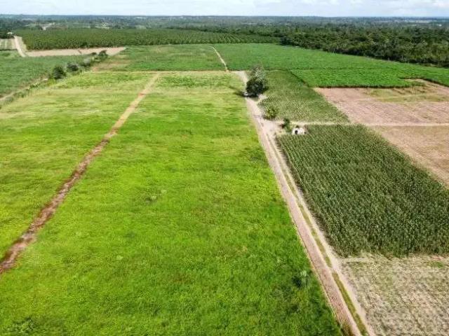 Sítio e chácara venda em Região Geográfica Imediata de Natal, São José de Mipibu