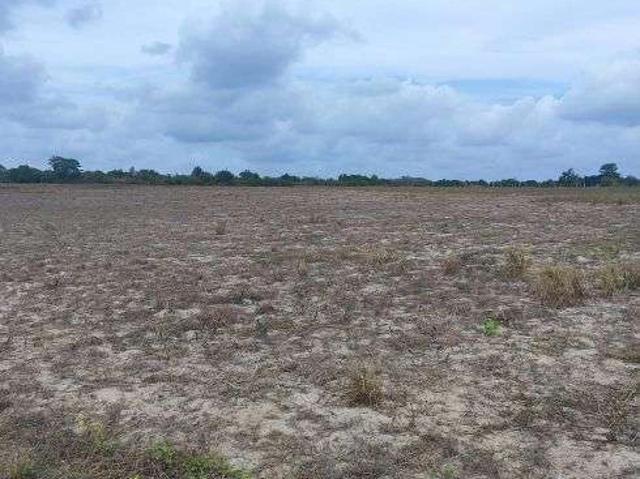 Sítio e chácara venda em São José de Mipibu