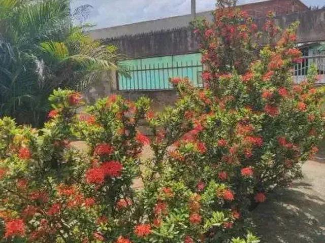 Sítio e chácara venda em Região Geográfica Imediata de Natal, São José de Mipibu