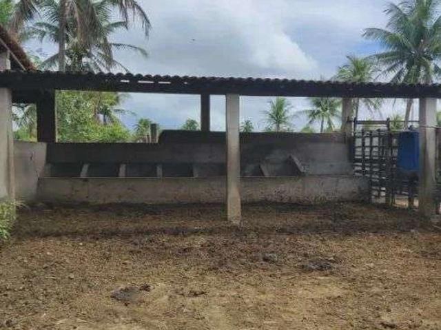 Sítio e chácara venda em São José de Mipibu