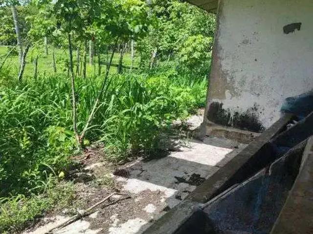 Sítio e chácara venda em Região Geográfica Imediata de Natal, São José de Mipibu