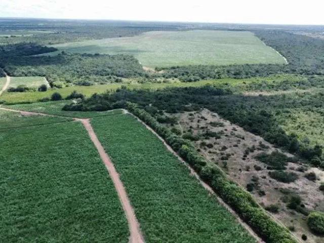 Sítio e chácara venda em Região Geográfica Imediata de Natal, São José de Mipibu