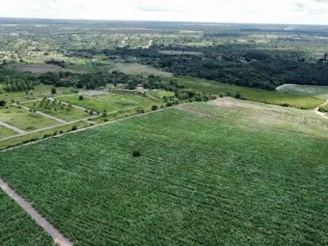 Sítio e chácara venda em Região Geográfica Imediata de Natal, São José de Mipibu