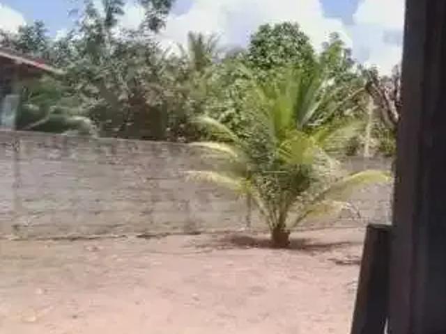 Sítio e chácara venda em Região Geográfica Imediata de Natal, São José de Mipibu