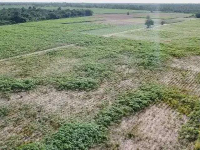 Sítio e chácara venda em Região Geográfica Imediata de Natal, São José de Mipibu