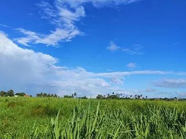 Sítio e chácara venda em Região Geográfica Imediata de Natal, São José de Mipibu