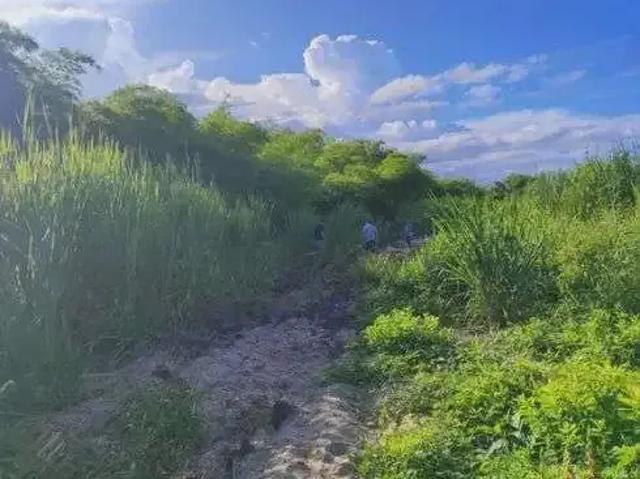 Sítio e chácara venda em Região Geográfica Imediata de Natal, São José de Mipibu