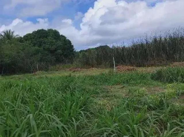 Sítio e chácara venda em Região Geográfica Imediata de Natal, São José de Mipibu