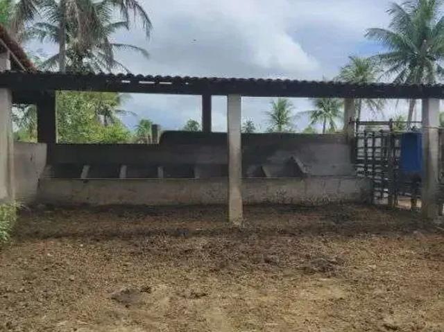 Sítio e chácara venda em Região Geográfica Imediata de Natal, São José de Mipibu