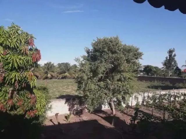 Sítio e chácara venda em Região Geográfica Imediata de Natal, São José de Mipibu