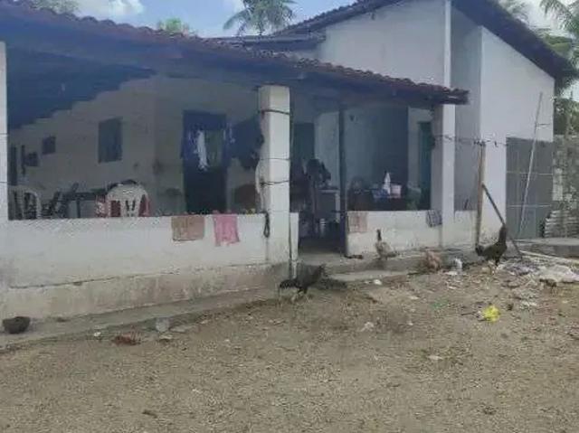 Sítio e chácara venda em Região Geográfica Imediata de Natal, São José de Mipibu
