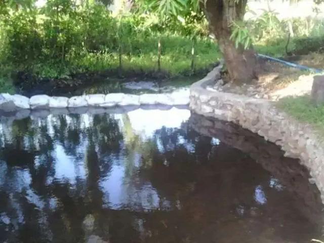 Sítio e chácara venda em Região Geográfica Imediata de Natal, São José de Mipibu