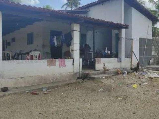 Sítio e chácara venda em São José de Mipibu
