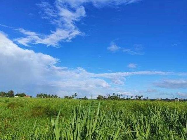 Sítio e chácara venda em São José de Mipibu