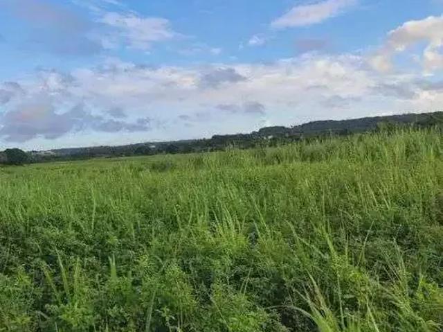 Sítio e chácara venda em Região Geográfica Imediata de Natal, São José de Mipibu