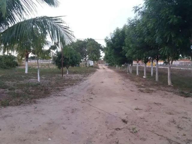 Sítio e chácara venda em Região Geográfica Imediata de Natal, São José de Mipibu