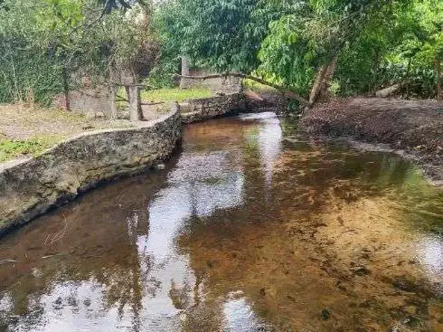 Sítio e chácara venda em Região Geográfica Imediata de Natal, São José de Mipibu