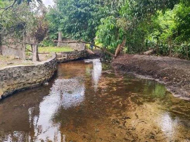 Sítio e chácara venda em São José de Mipibu