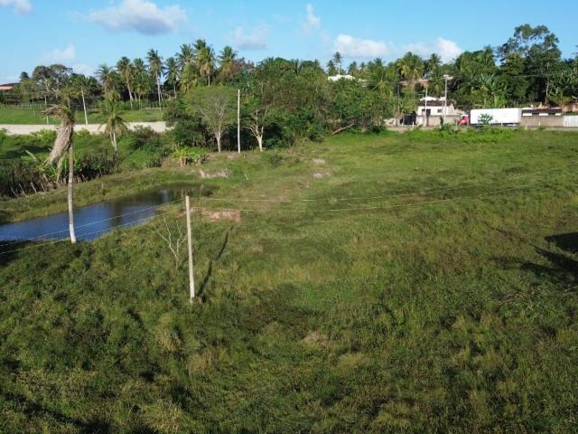 Sítio e chácara venda em Região Geográfica Imediata de Natal, São José de Mipibu