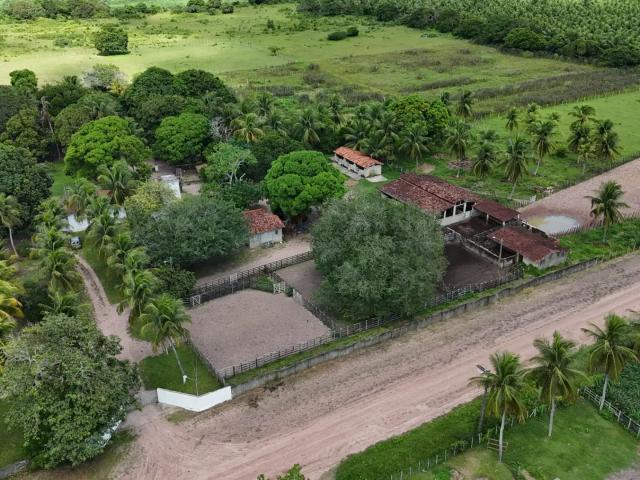 Sítio e chácara venda em Região Geográfica Imediata de Natal, São José de Mipibu