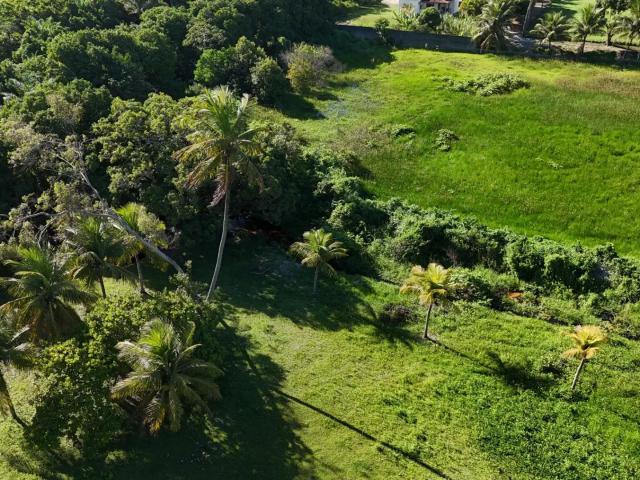 Sítio e chácara venda em Região Geográfica Imediata de Natal, São José de Mipibu