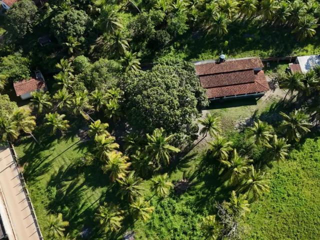 Sítio e chácara venda em Região Geográfica Imediata de Natal, São José de Mipibu