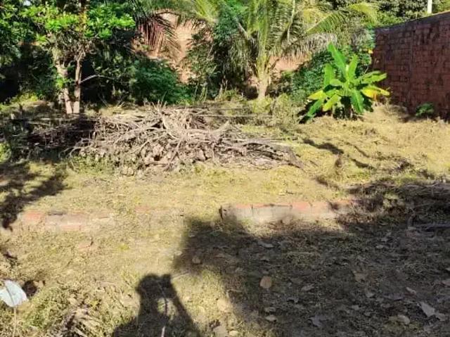 Sítio e chácara venda em Região Geográfica Imediata de São Luís, São José de Ribamar