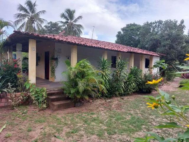 Sítio e chácara venda em Região Geográfica Imediata de São Luís, São José de Ribamar